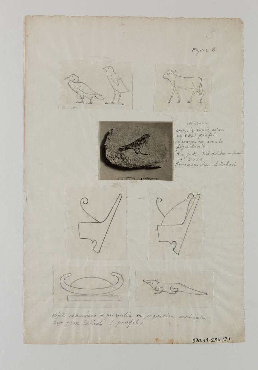 Animaux et objets (titre factice)