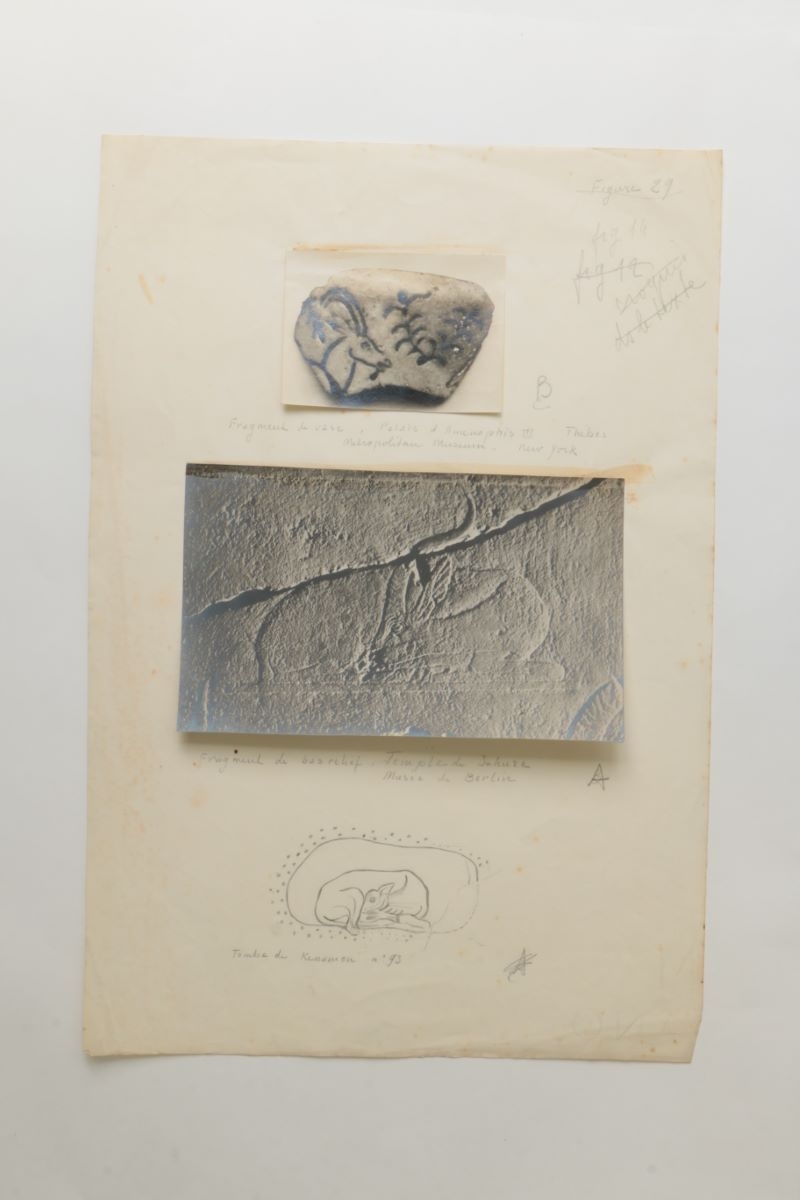 Planche préparatoire (titre factice)