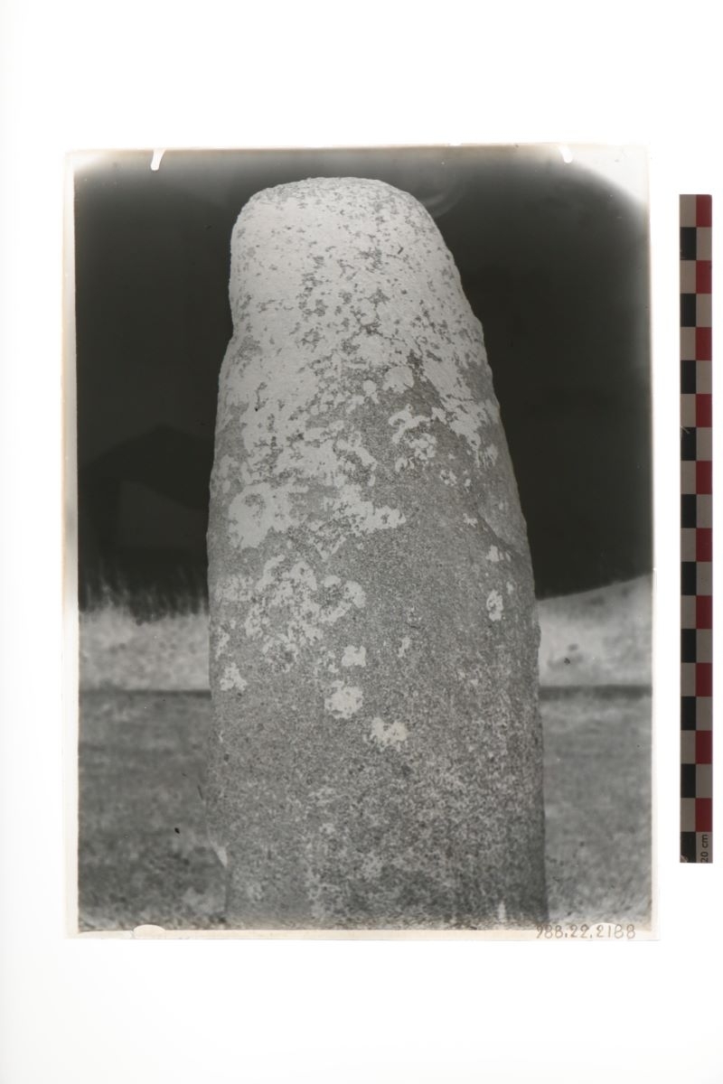 Menhir de Pierre Longue (titre factice)