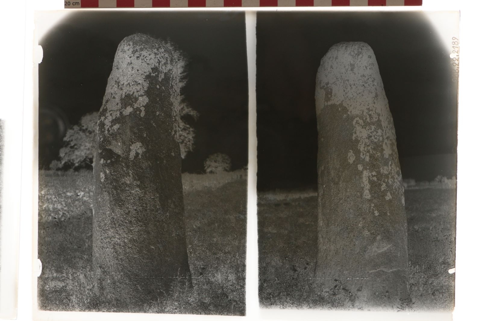 Menhir de Pierre Longue (titre factice)