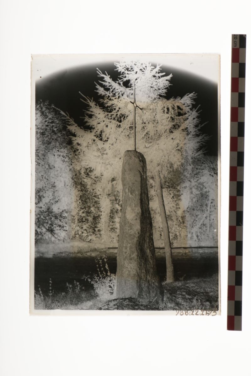 Menhir de Thedde (titre factice)