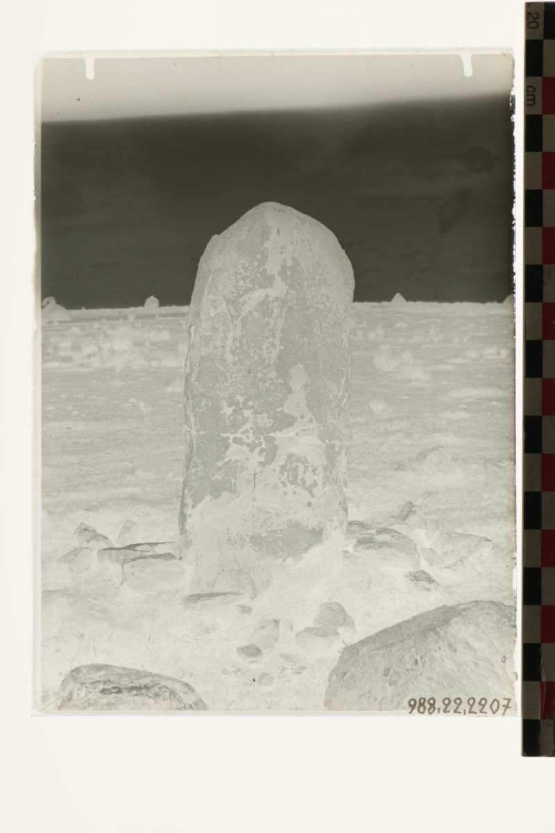 Pierre des Plaines des Landais ou Pierre des Quatre Curés (titre factice)