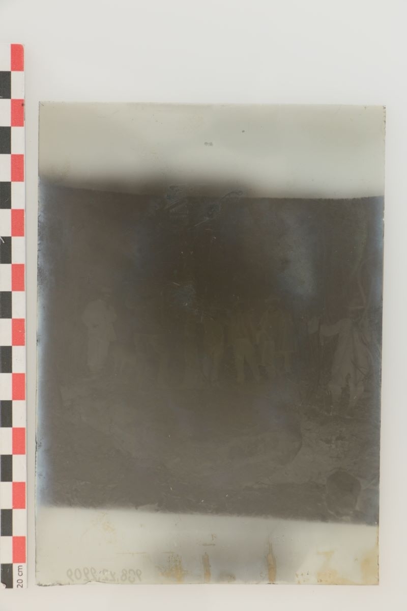 Menhir du Bois des Brosses (titre factice)