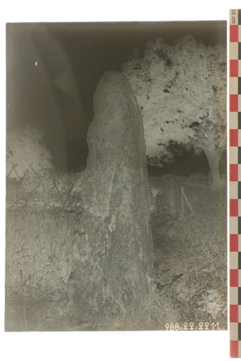 Menhir d'Aubiére (titre factice)