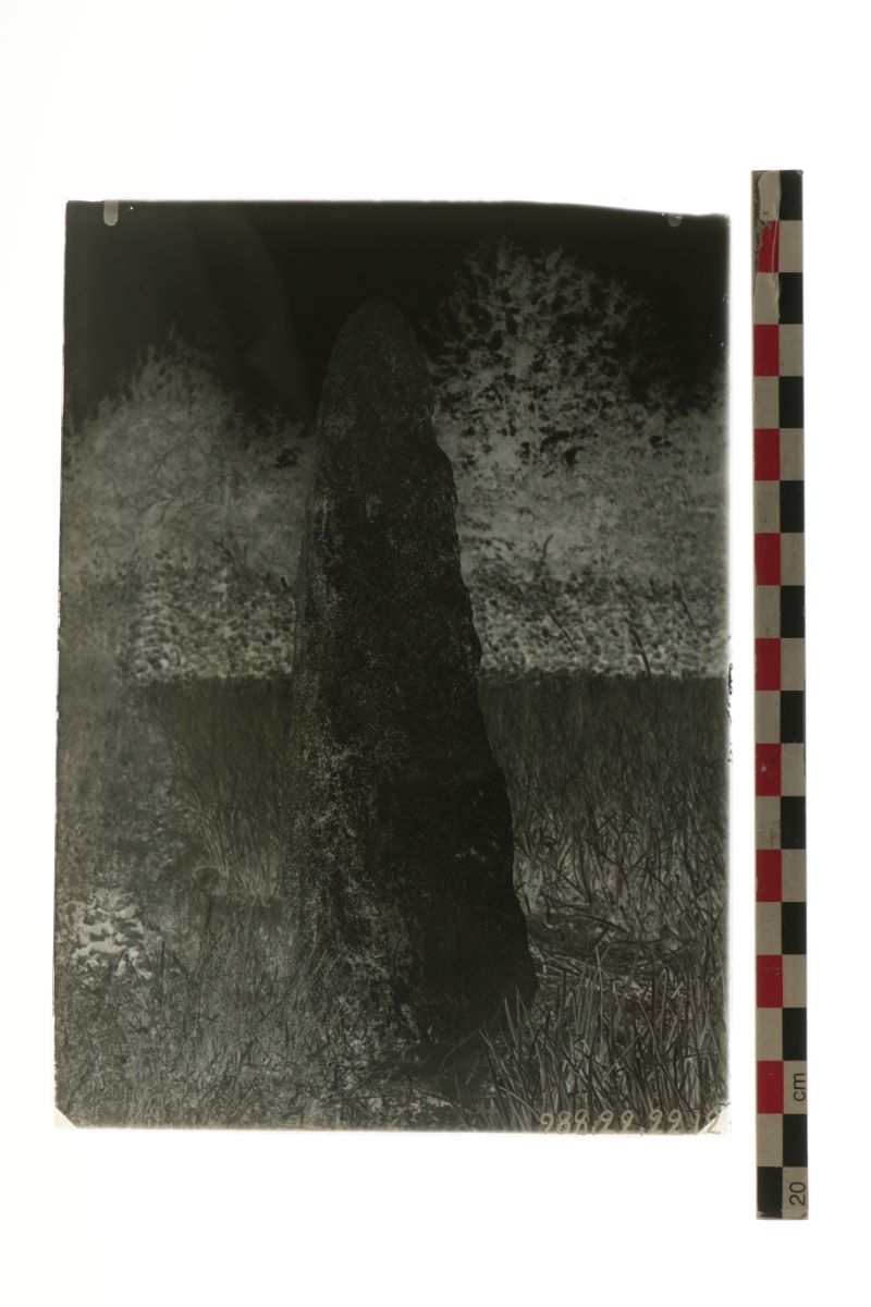 Menhir d'Aubiére (titre factice)