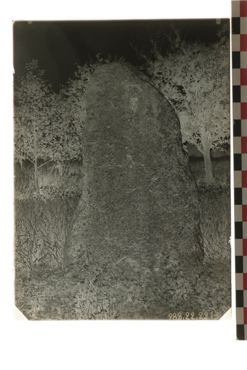 Menhir d'Aubiére (titre factice)