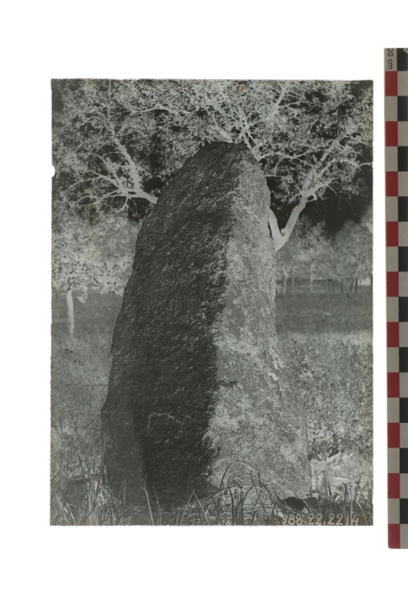 Menhir d'Aubiére (titre factice)