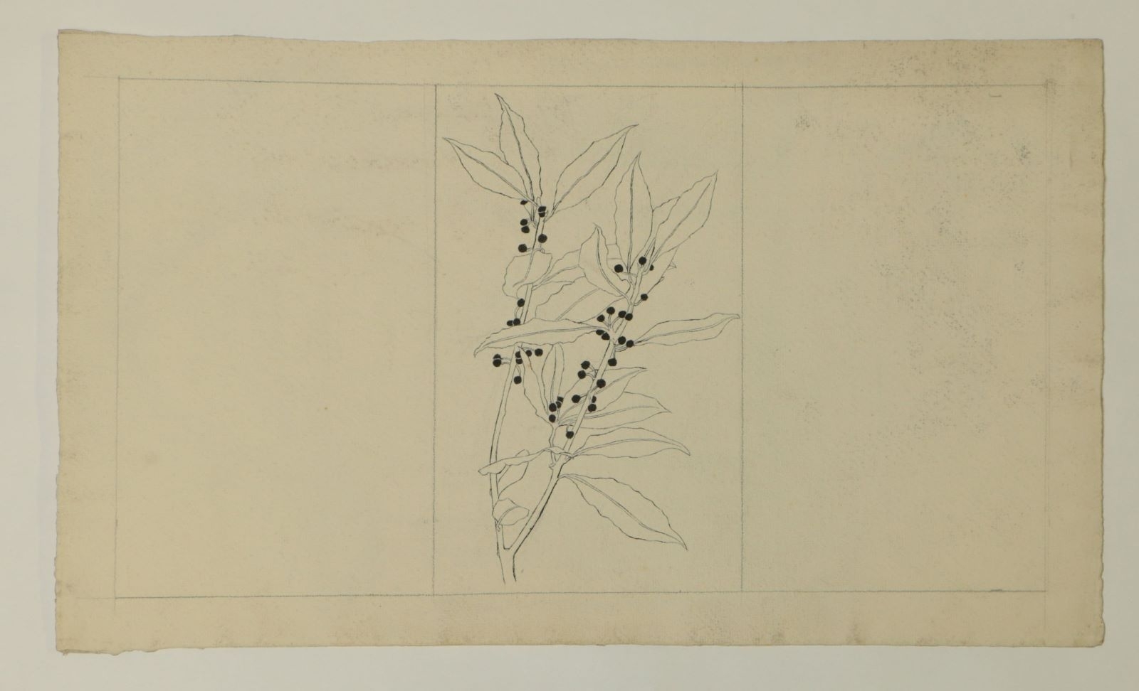 Feuillage à l’encre noire (titre factice)