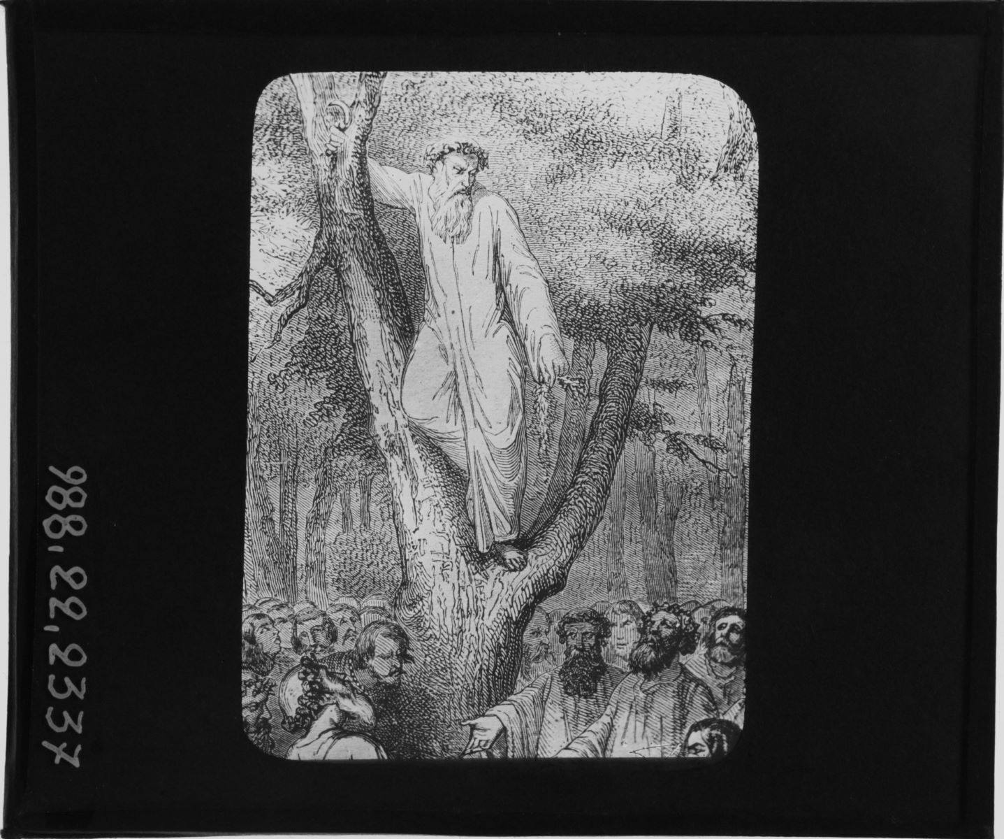 Druide ceuillant le gui sacré (titre inscrit)