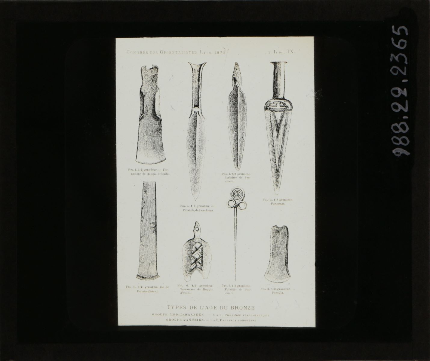 Armes et pièces diverses (titre inscrit)