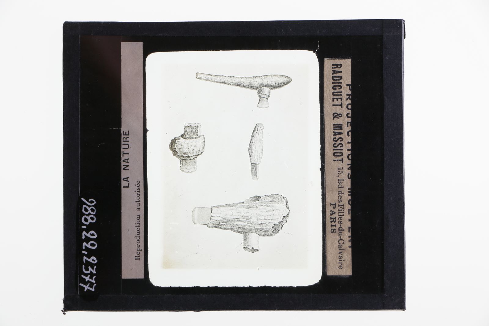 Haches et ciseaux en pierre avec manche en bois de cerf palafittes de l'époque néolithique. Muséum de Lyon (titre inscrit)