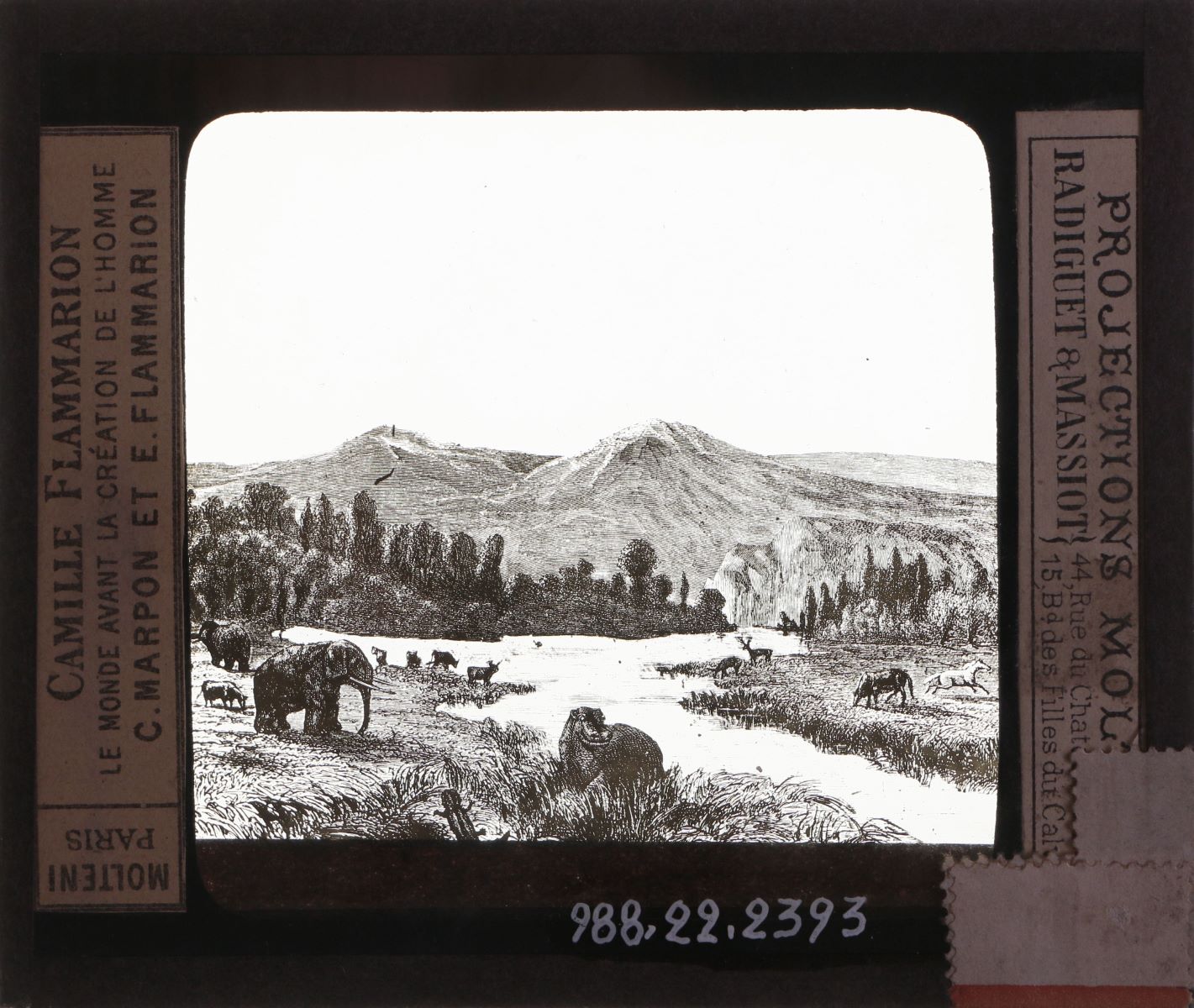 Paysage idéal de la période pliocène (titre inscrit)