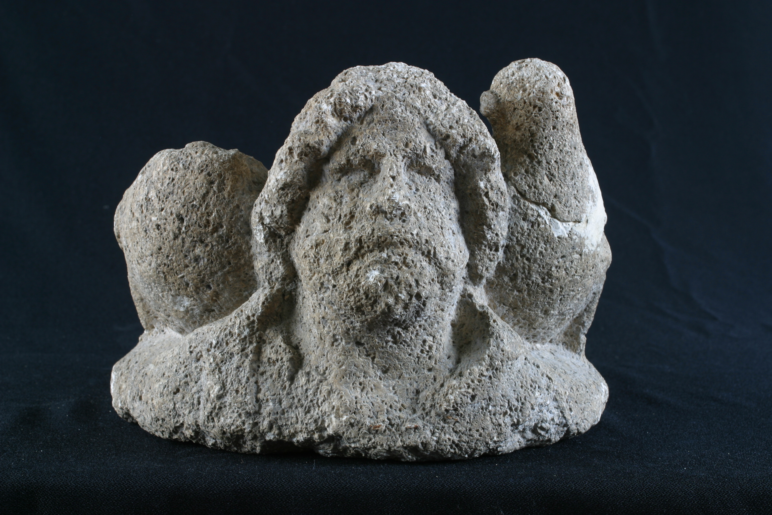 Dieu aux oiseaux