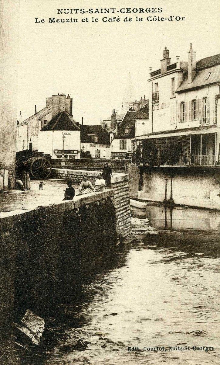 NUITS-SAINT-GEORGES - Le Meuzin et le café de la Côte-d'Or (titre inscrit)