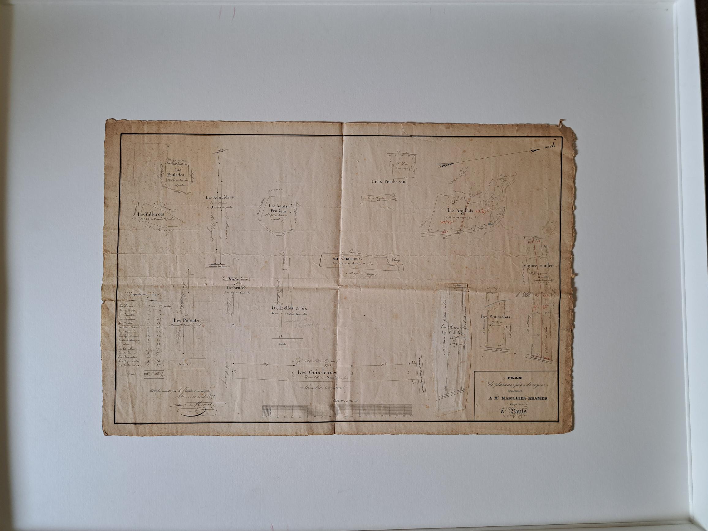 PLAN / de plusieurs pièces de vigne / appartenant / A Mr MARILLIER-KRAMER / propriétaire / à Nuits