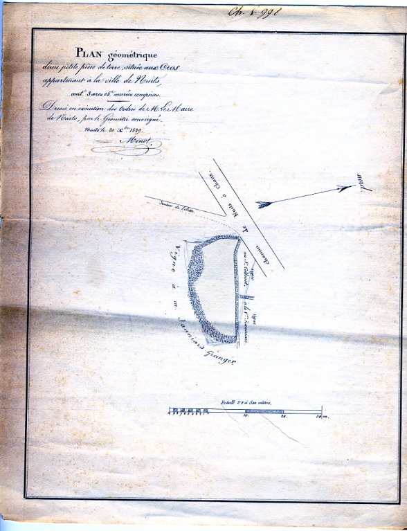 Plan de vignes à Nuits-Saint-Georges