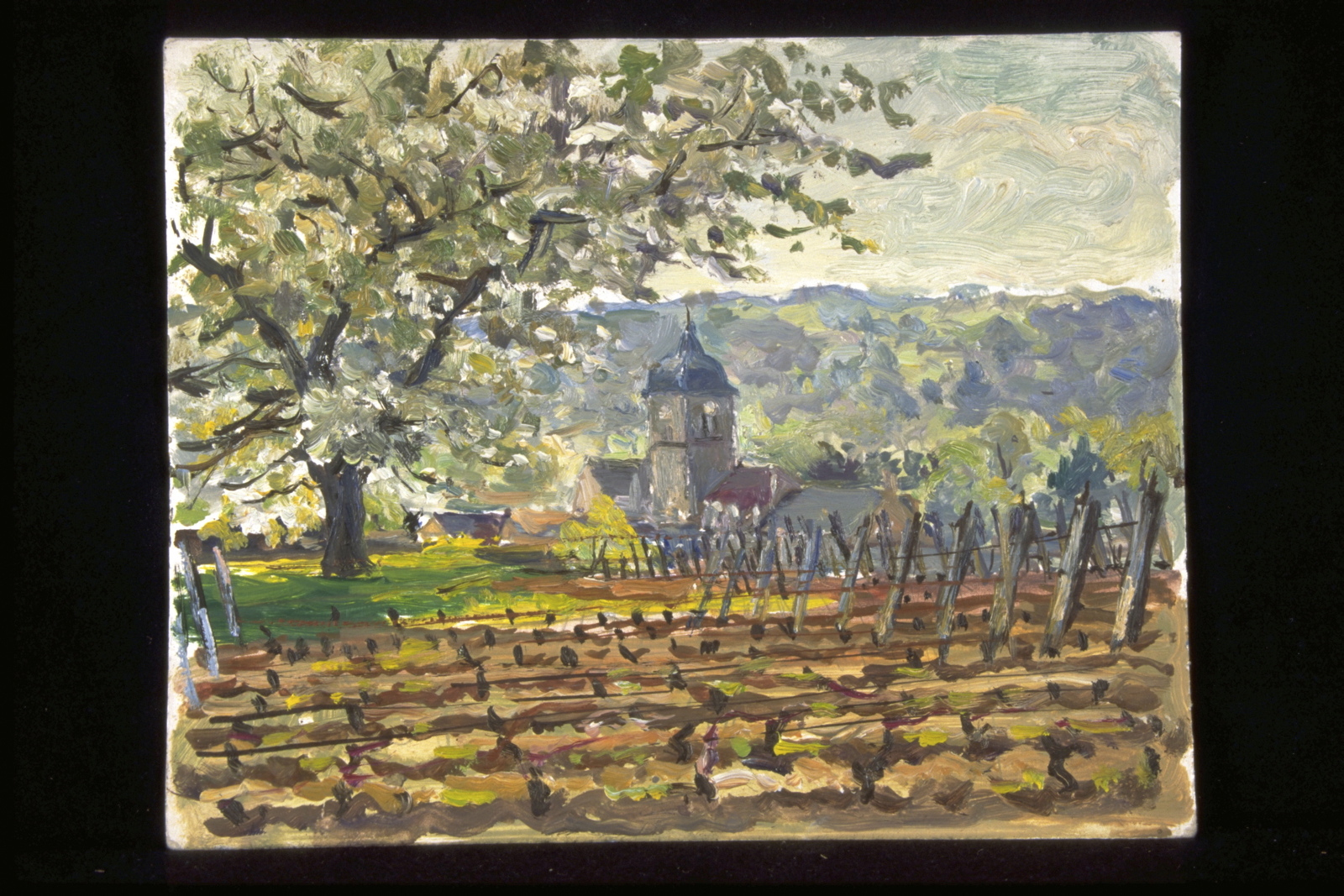 Chambolle Musigny. Contre-jour printanier (titre inscrit, au verso)