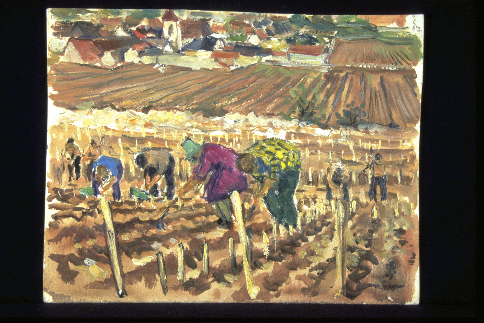 Plantation des greffons et rebouchage (titre inscrit, au verso)