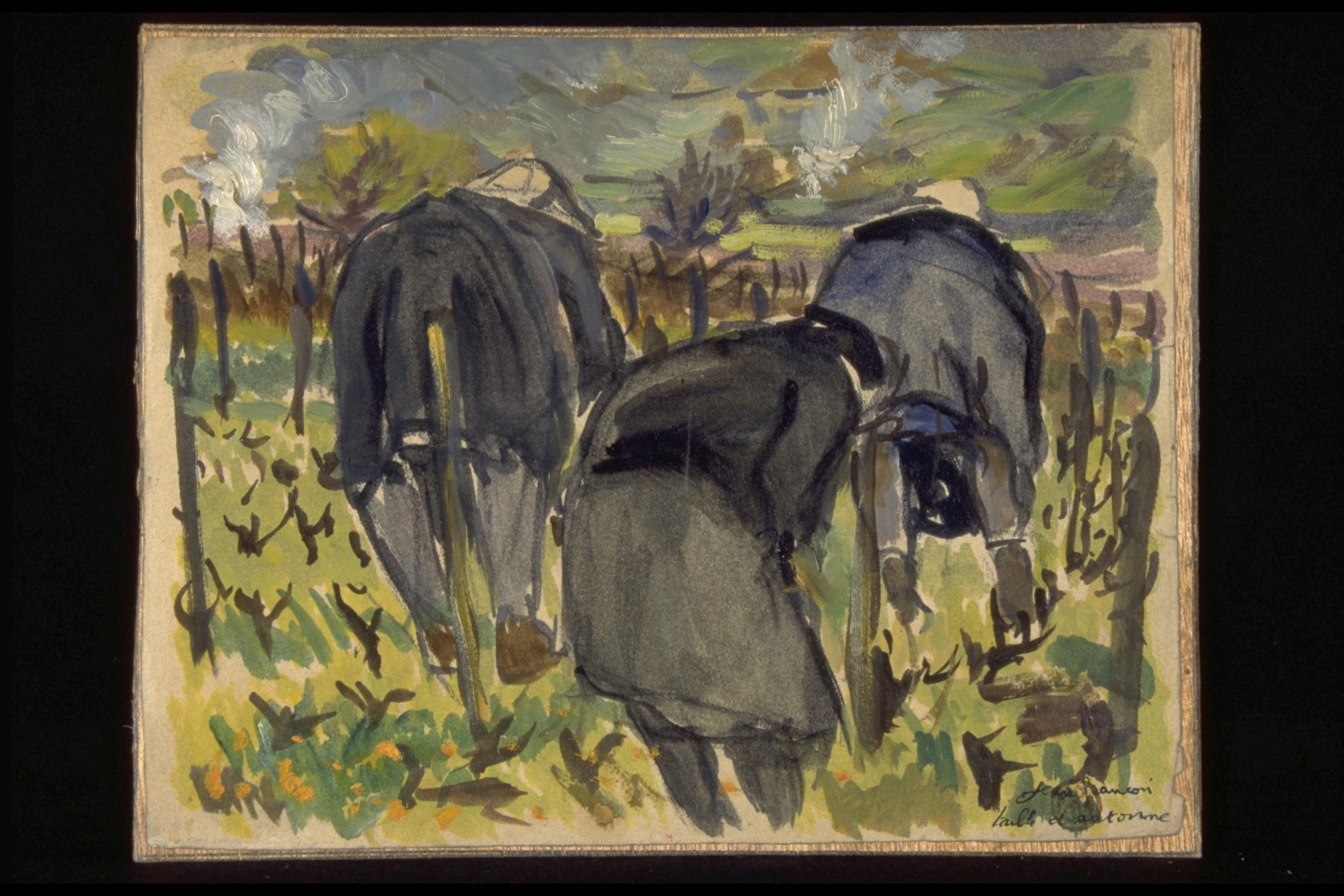 Taille d’automne (titre inscrit)