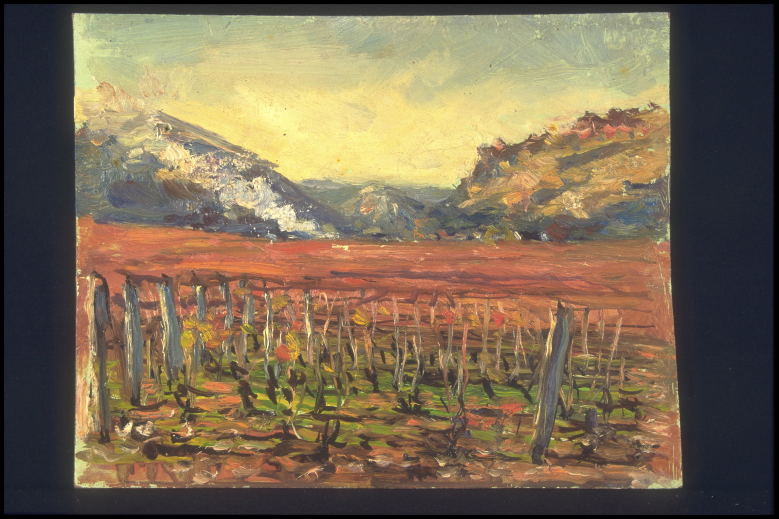 Soleil couchant sur la Combe de Chambolle (titre inscrit, au verso)