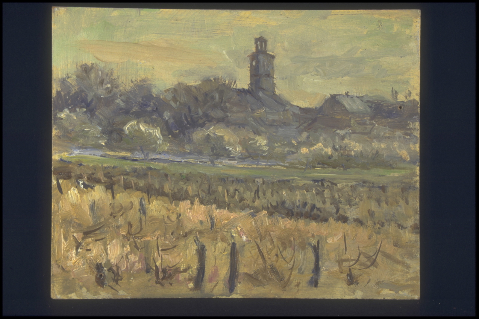 Marsannay la Côte, printemps vigne et friche (titre inscrit, au verso)