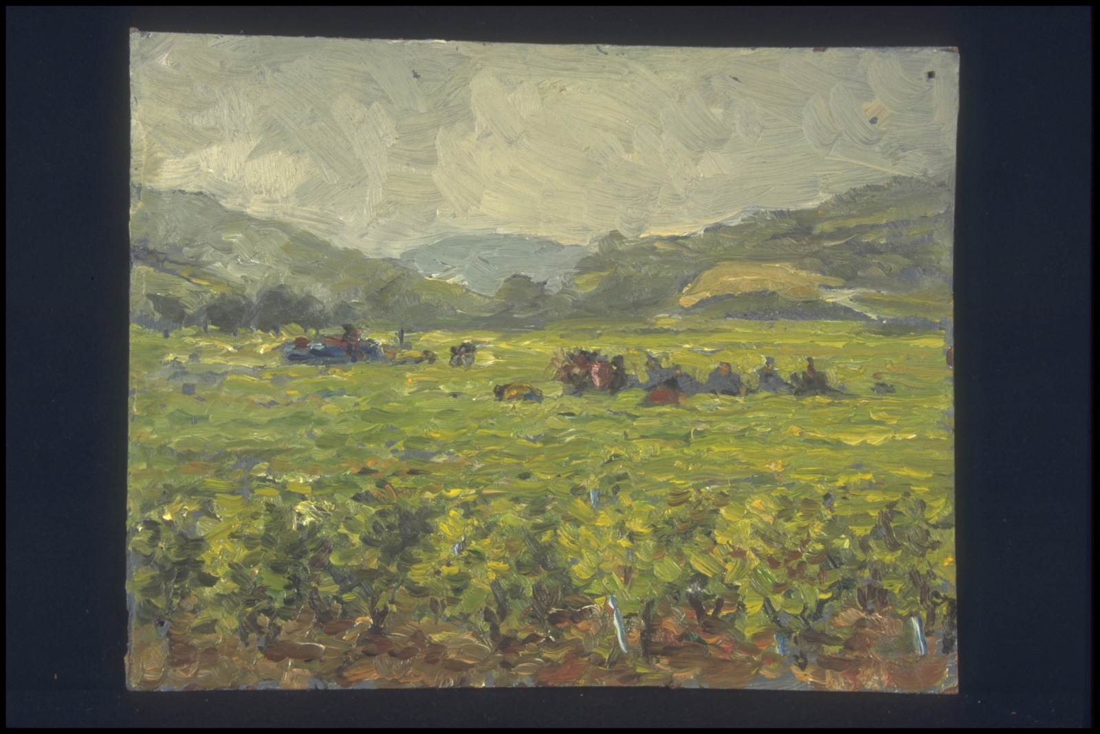 Combe de Marsannay la Côte, vendanges dans la brume (titre inscrit, au verso)