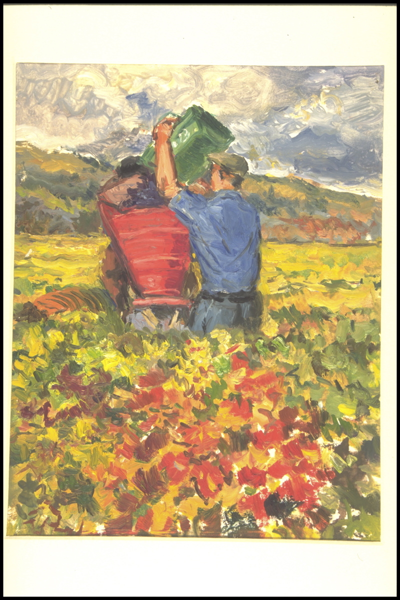 Automne vendanges, chargement de la hotte (titre inscrit, au verso)