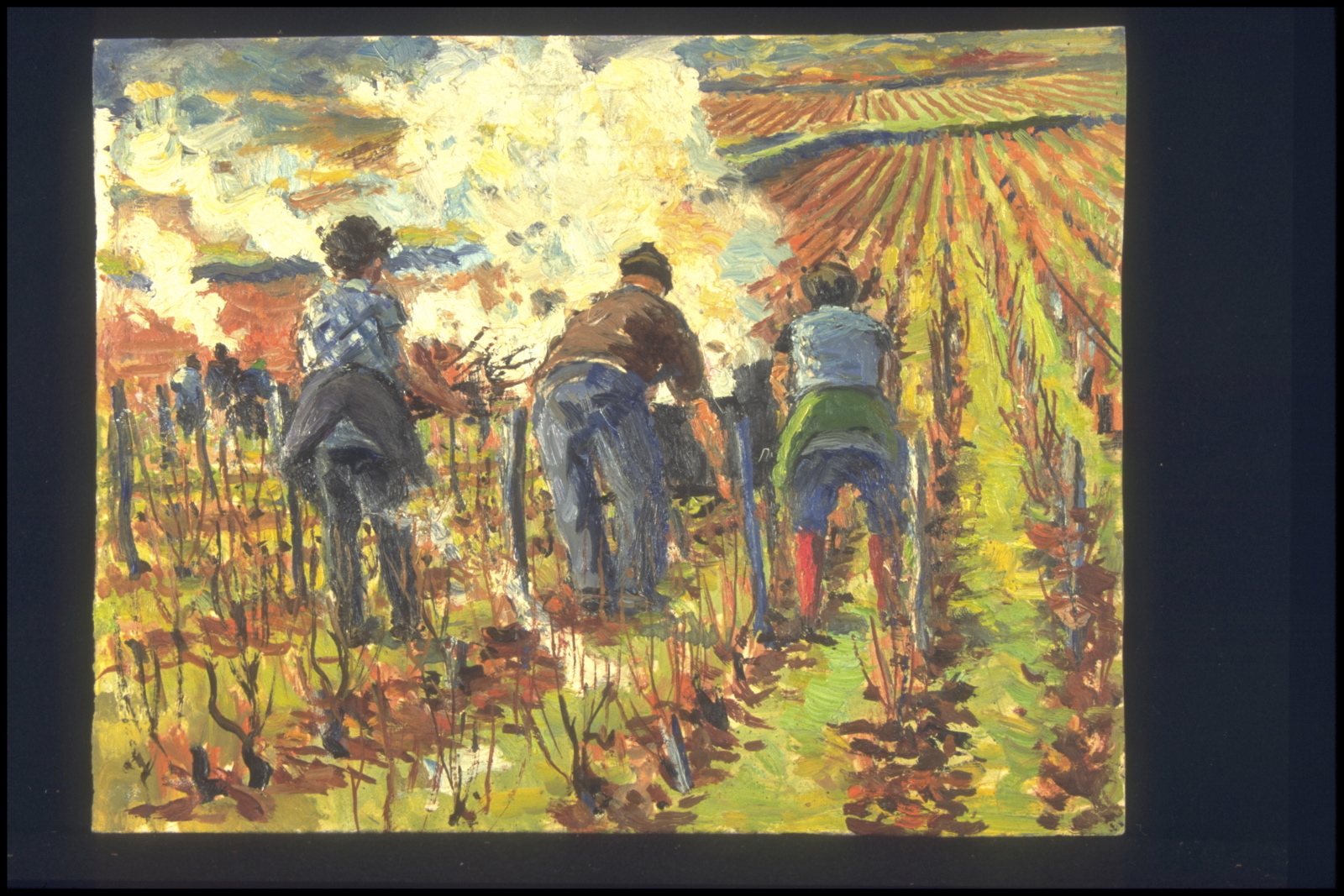 Automne travaux, Brûlage sarments à Marsannay la Côte (titre inscrit, au verso)