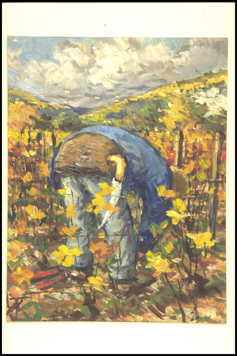 Combe à Marsannay, Taille d’automne, Nettoyage (titre inscrit, au verso)