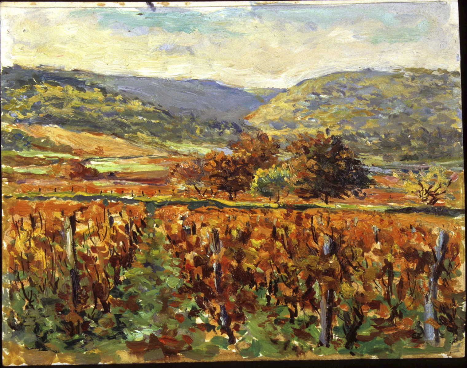 4 saisons, vignes rousses, Combe de Couchey (titre inscrit, au verso)