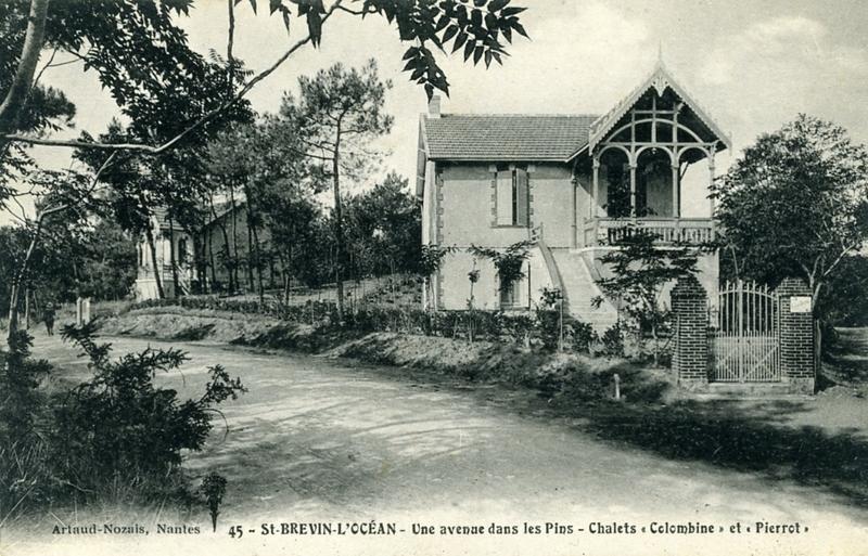 45 -St-BREVIN - L'OCEAN - Une avenue dans les Pins - Chalets 'Colombine' et 'Pierrot'. (titre inscrit)