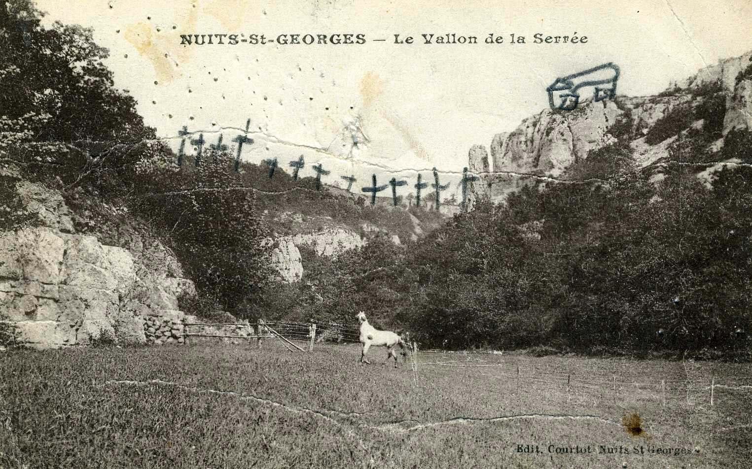 NUITS-St-GEORGES - Le Vallon de la Serrée (titre inscrit)