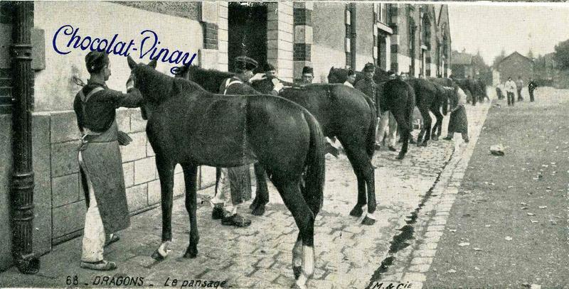 68- DRAGONS - Le pansage (titre inscrit)