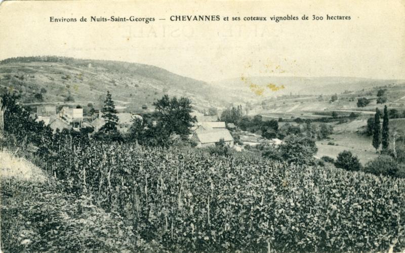 Environs de Nuits-Saint-Georges - CHEVANNES et ses coteaux vignobles de 300 hectares (titre inscrit)