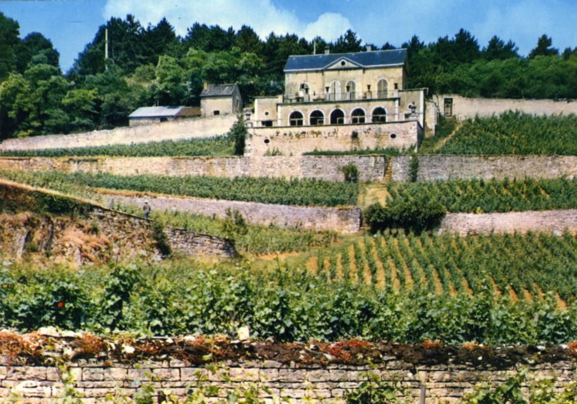 NUITS-SAINT-GEORGES (Côte-d'Or) / Château Gris (titre inscrit)