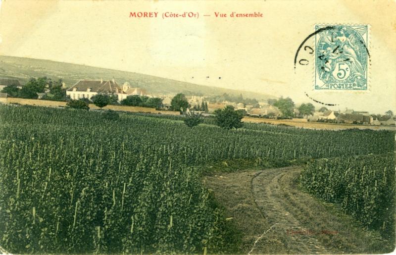 MOREY (Côte-d'Or) - Vue d'ensemble (titre inscrit)