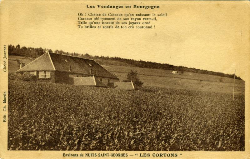 Environs de NUITS-SAINT-GEORGES - 'LES CORTONS' (titre inscrit)