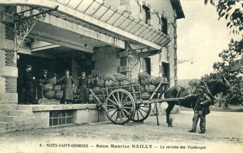 6 - NUITS-SAINT-GEORGES - Maison Maurice BAILLY - La rentrée des Vendanges (titre inscrit)