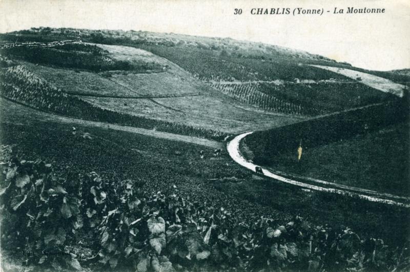 30 CHABLIS (Yonne) - La Moutonne (titre inscrit)