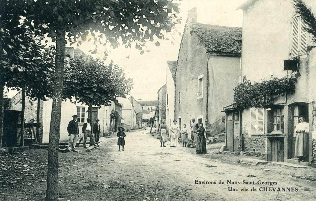 Environs de Nuits-Saint-Georges / Une vue de CHEVANNES (titre inscrit)