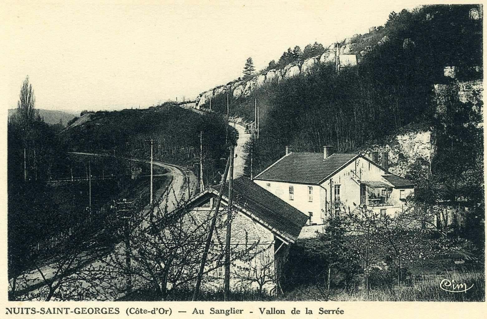 NUITS-SAINT-GEORGES (Côte-d'Or) - Au Sanglier - Vallon de la Serrée (titre inscrit)