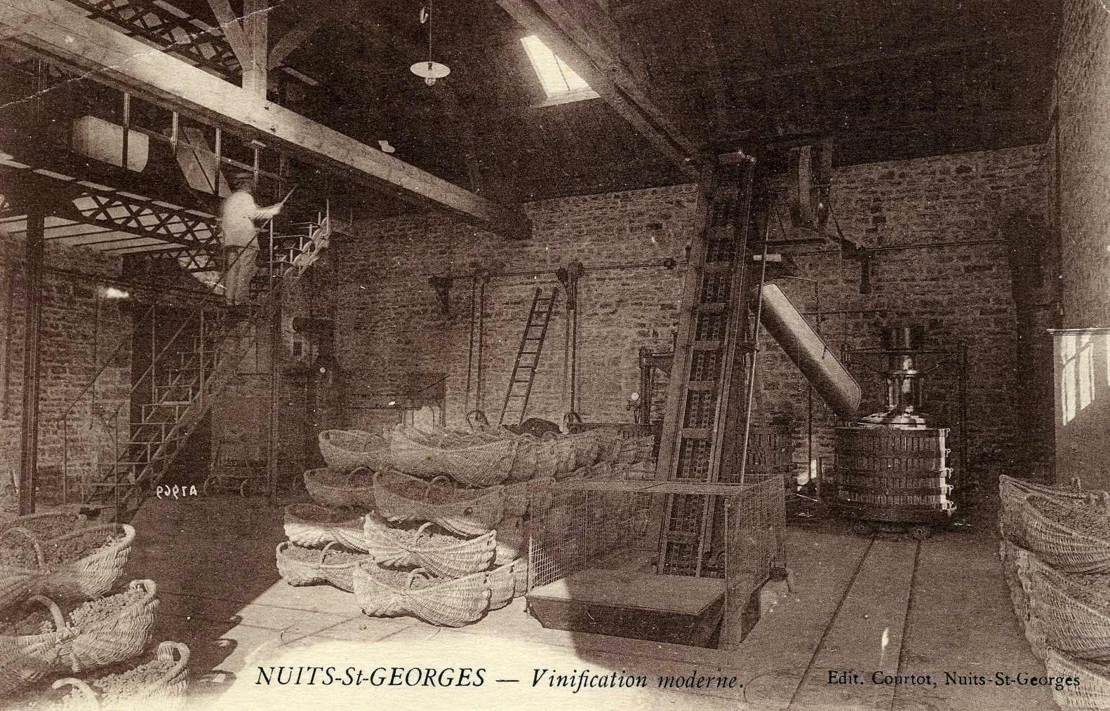 NUITS-St-GEORGES - Vinification moderne. (titre inscrit)