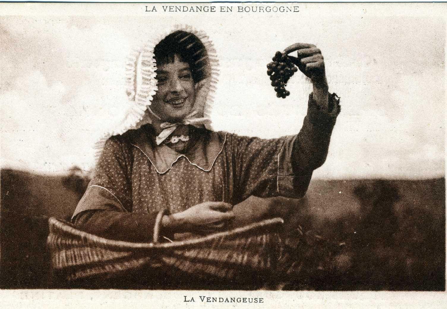 LA VENDANGE EN BOURGOGNE / LA VENDANGEUSE (titre inscrit)