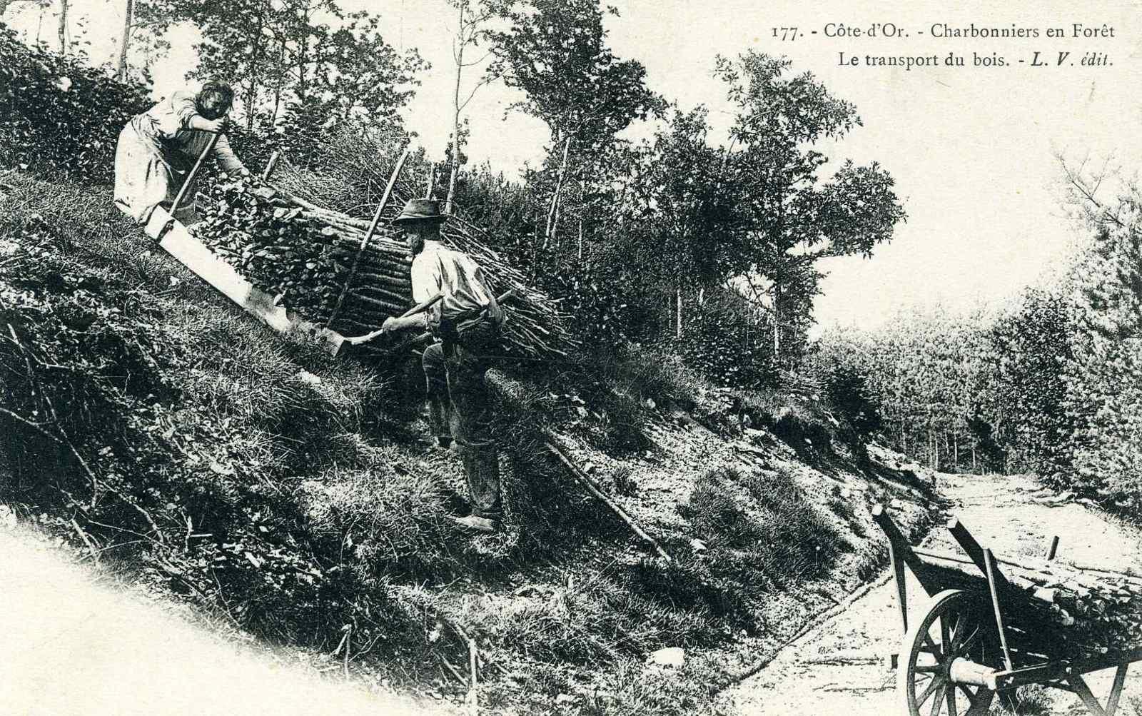 177. - Côte-d'Or. - Charbonniers en Forêt / Le transport du bois. (titre inscrit)