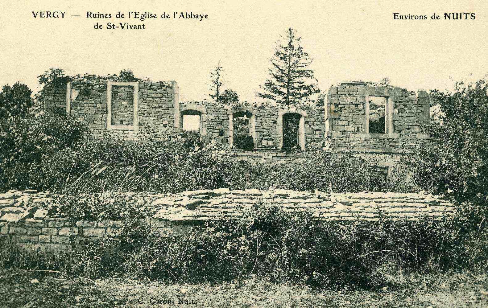 VERGY - Ruines de l'Eglise de l'Abbaye / de St-Vivant / Environs de NUITS. (titre inscrit)