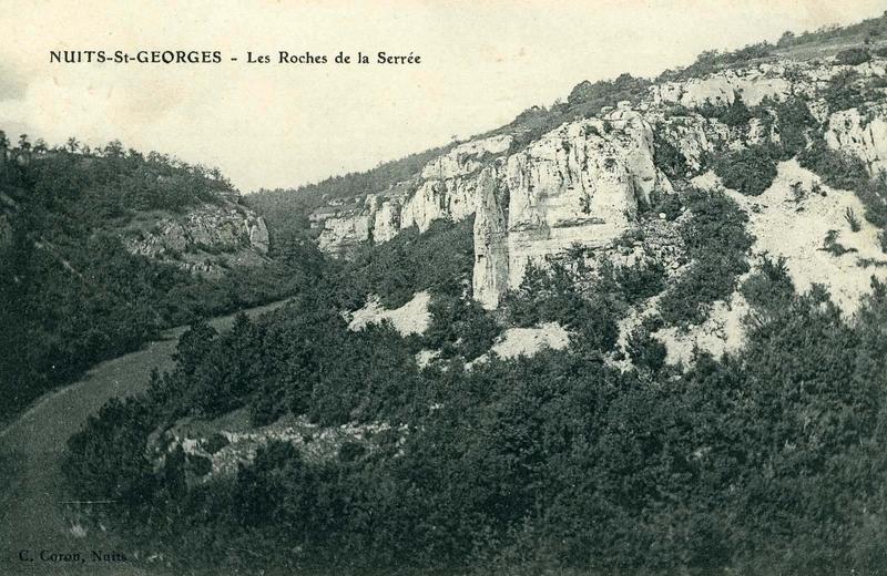 NUITS-St-GEORGES - les Roches de la Serrée (titre inscrit)