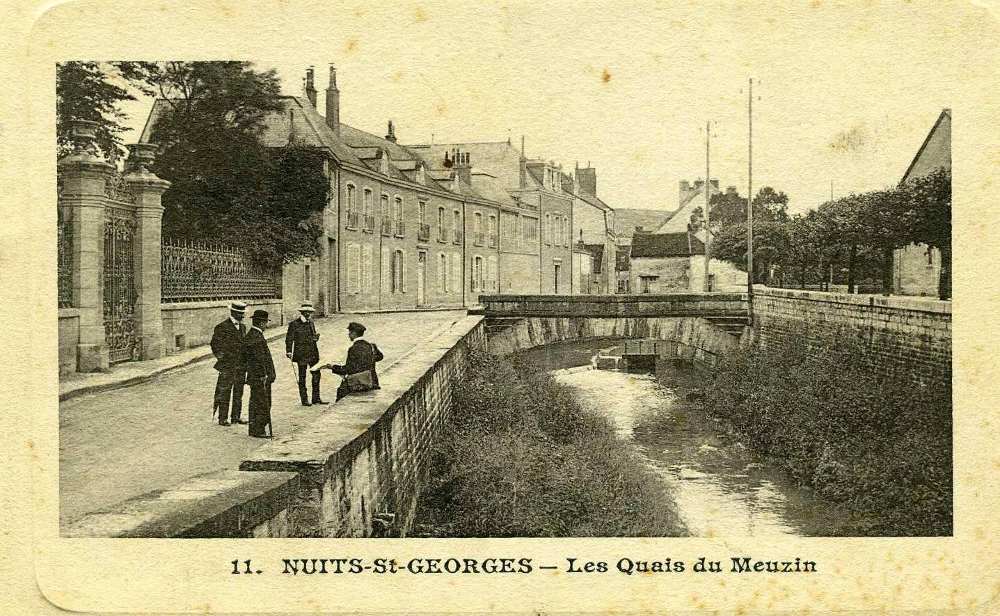 11. NUITS-St-GEORGES - Les Quais du Meuzin (titre inscrit)