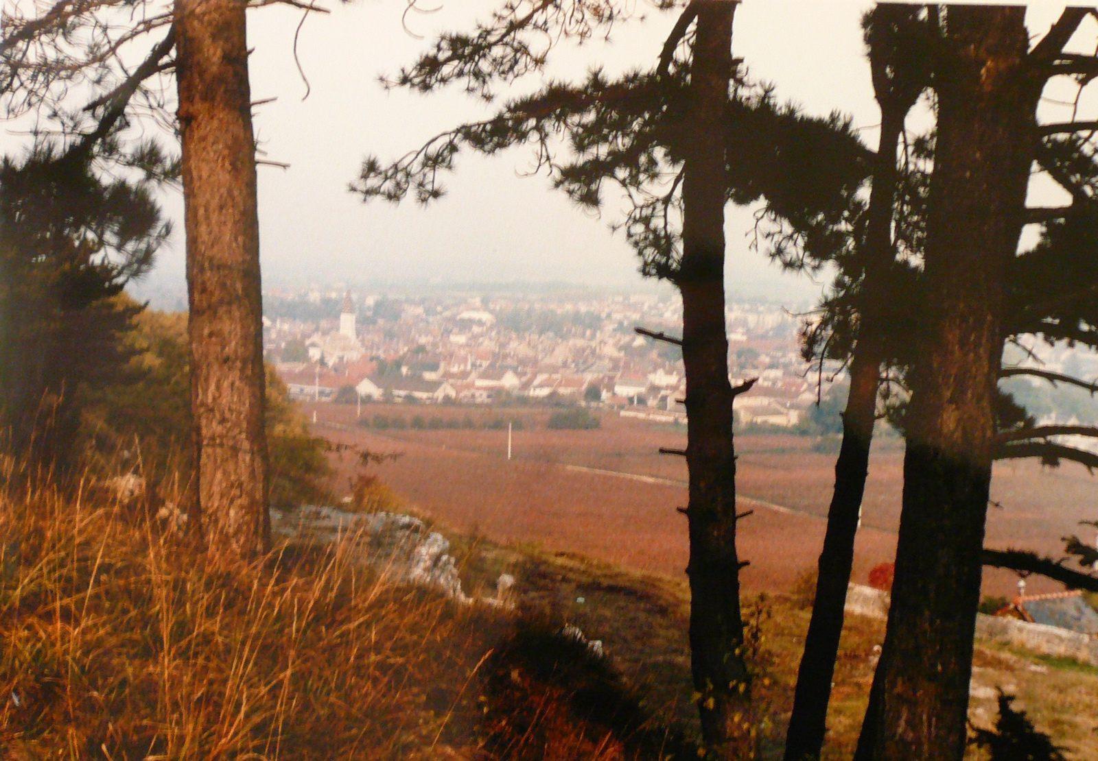 Vue de Nuits-Saint-Georges, route de Chaux