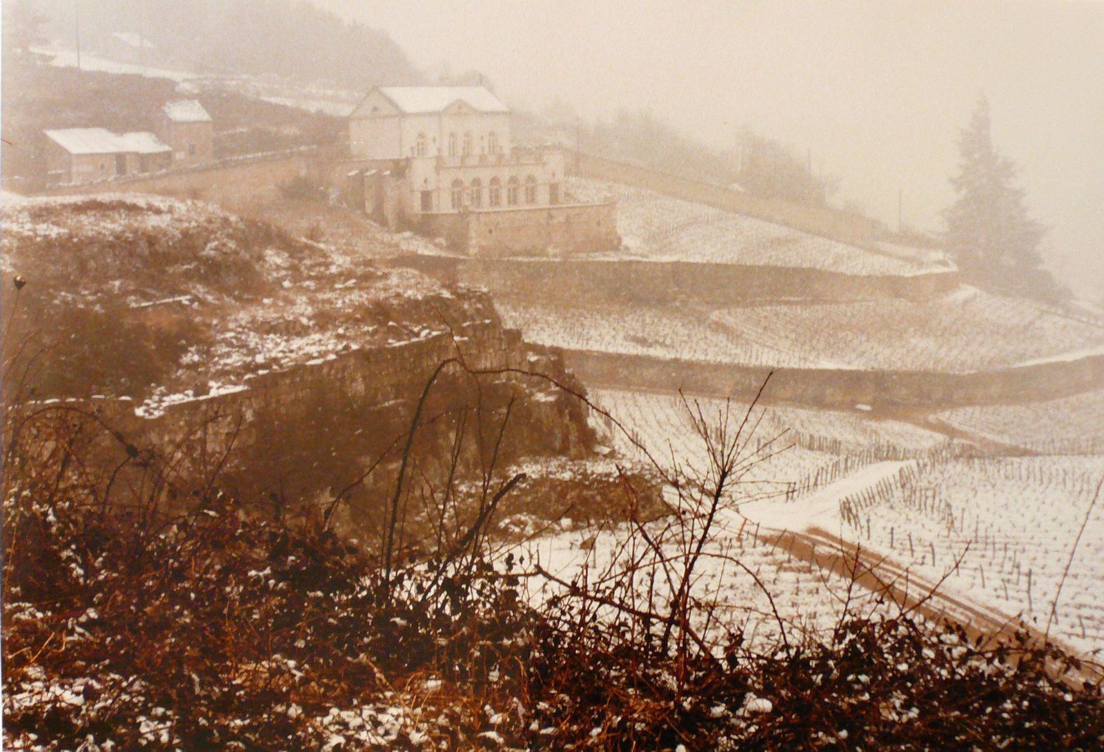 Le Château gris sous la neige
