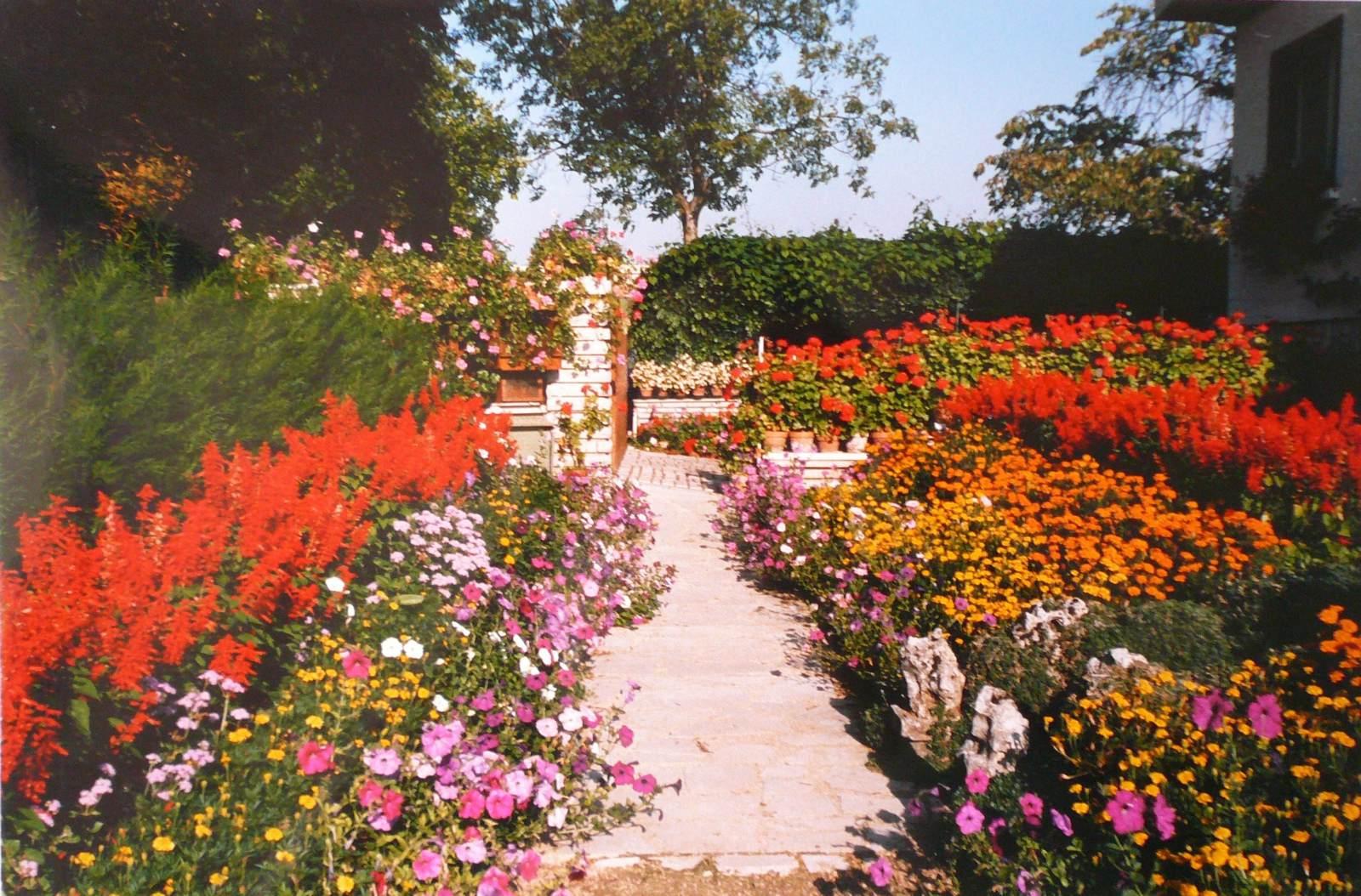 Jardin de Monsieur Vincent à Nuits-Saint-Georges